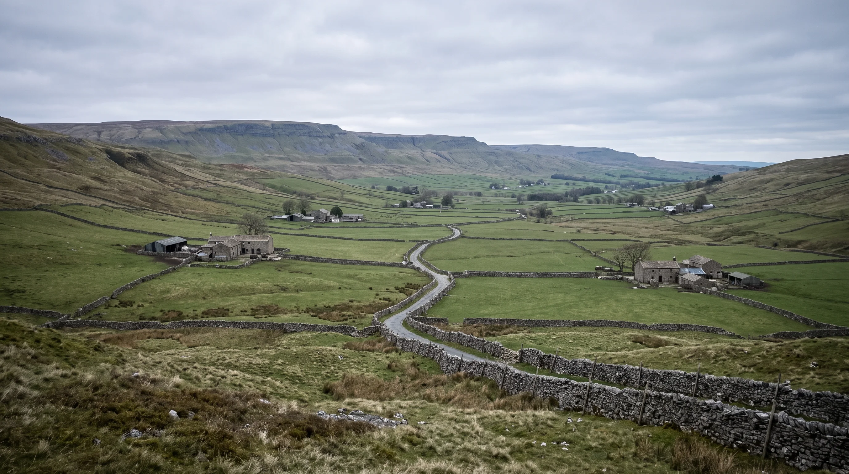 The upper Eden valley from high ground, a walled road threading through the valley floor towards distant farms under a grey sky